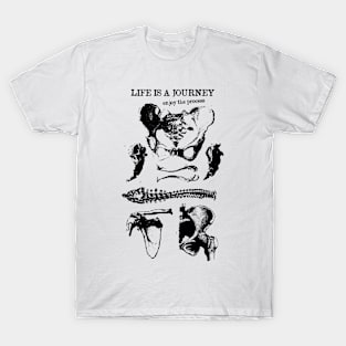 The journey T-Shirt